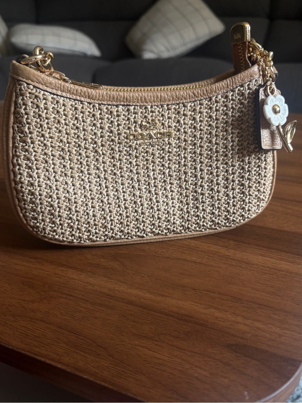 Coach Straw Teri Hand Bag
